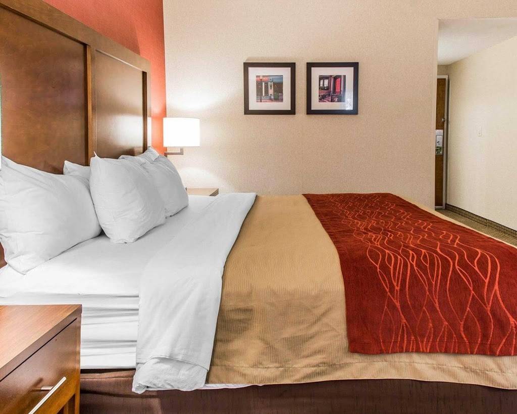 Comfort Inn | restaurant | 900 Morrissey Blvd, Boston, MA 02122, USA | 6172879200 OR +1 617-287-9200