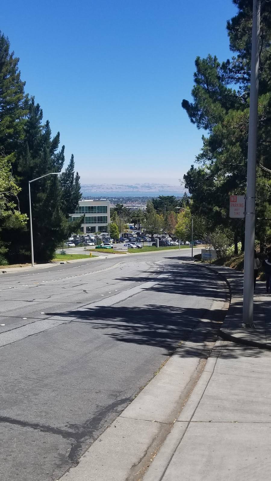 Campus Cafe | cafe | 2955 Campus Dr # 101, San Mateo, CA 94403, USA | 6505731800 OR +1 650-573-1800