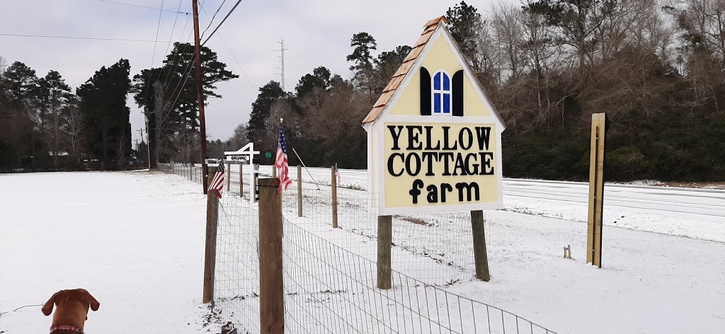 Yellow Cottage Farm and Bakery | restaurant | 7964 TX-146, Livingston, TX 77351, USA | 2812295838 OR +1 281-229-5838