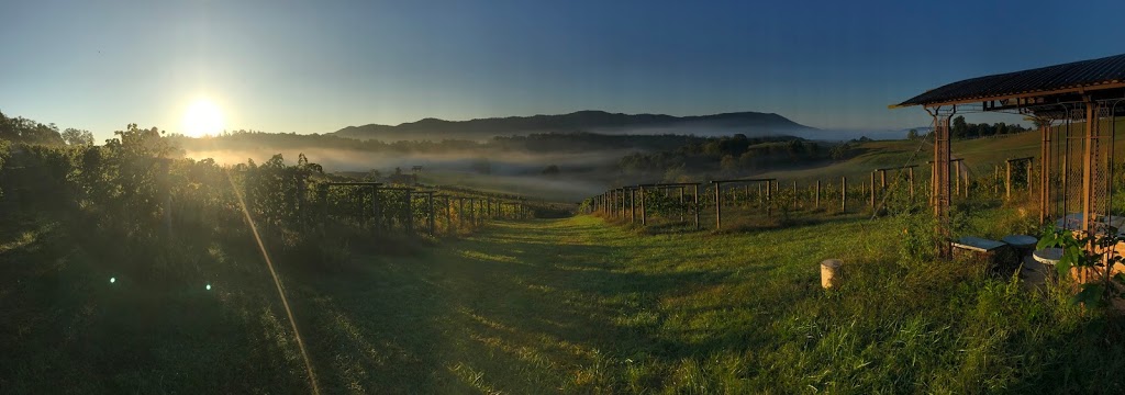 Beliveau Farm Winery | restaurant | 3899 Eakin Farm Rd, Blacksburg, VA 24060, USA | 5409610505 OR +1 540-961-0505