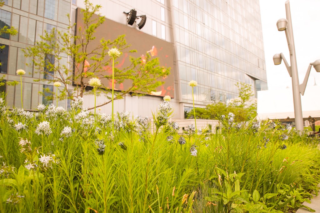 Sunset Social | restaurant | 129 S 30th St, Philadelphia, PA 19104, USA | 2676346779 OR +1 267-634-6779