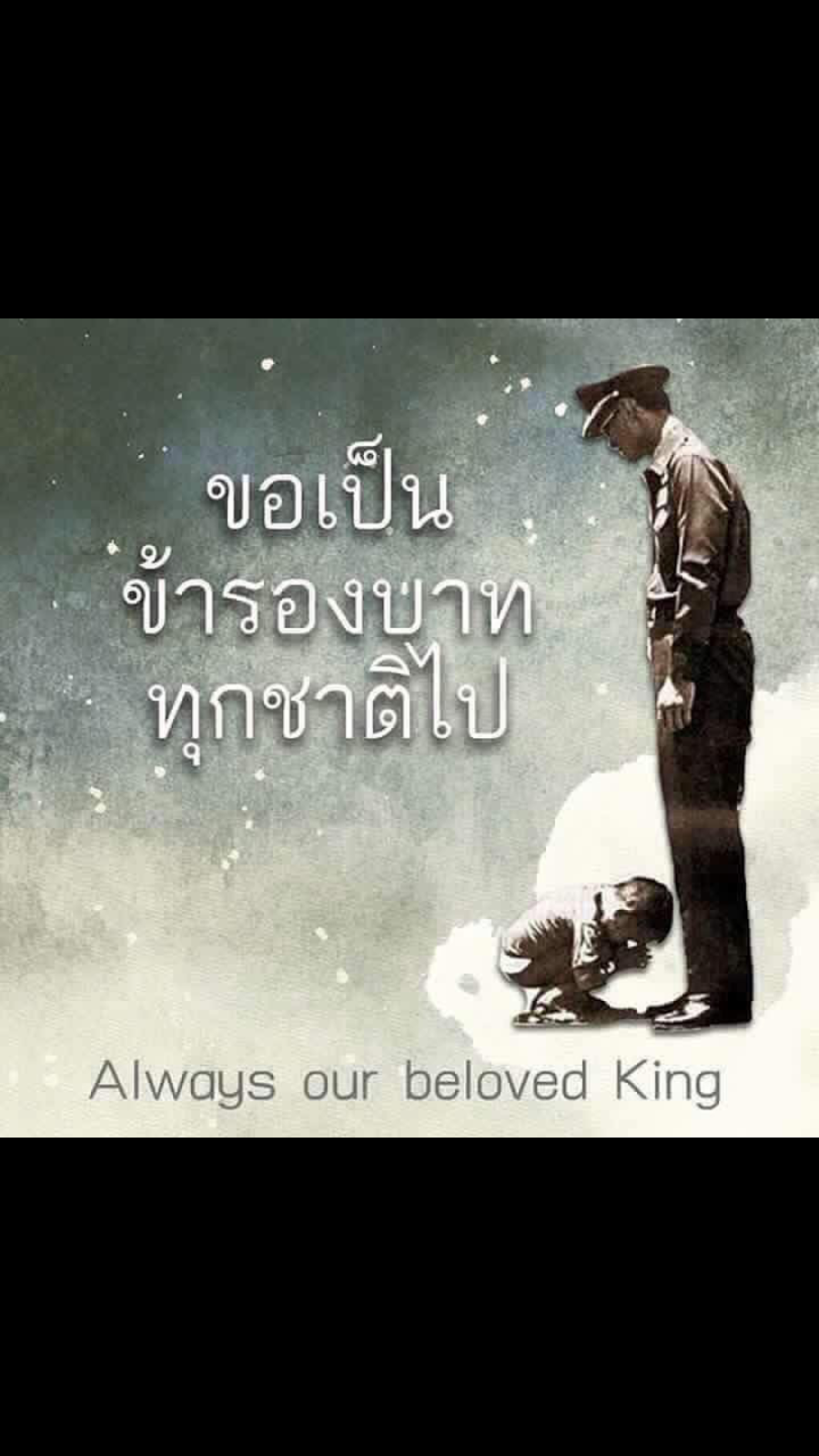 Khao Yum Thai Restaurant | restaurant | 5562 Manotick Main St C, Manotick, ON K4M 1A2, Canada | 6136928588 OR +1 613-692-8588