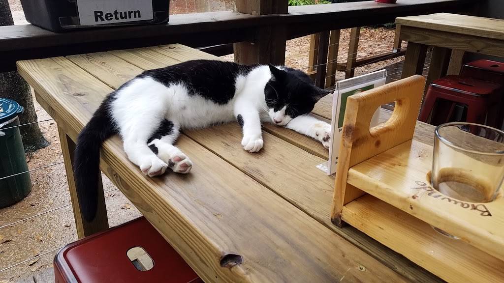 B-52 Brewing Co. | restaurant | 12470 Milroy Ln, Conroe, TX 77304, USA | 9364474677 OR +1 936-447-4677