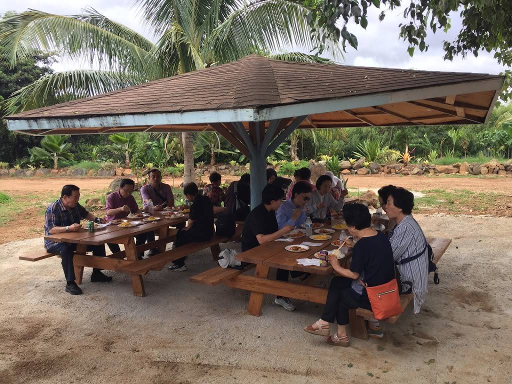 Famous Kahuku Shrimp | restaurant | 67-21 Waialua Beach Rd, Waialua, HI 96791, USA | 8083891173 OR +1 808-389-1173