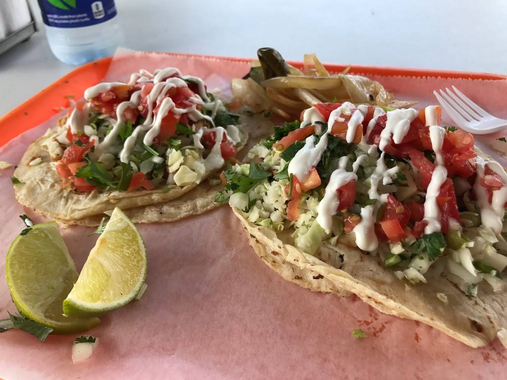 Tacos Gone Mobile | restaurant | 1309 E Fletcher Ave, Tampa, FL 33612, USA | 8134009439 OR +1 813-400-9439