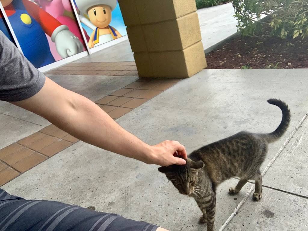 Alis Sweet Treats | restaurant | 7094 SW 117th Ave, Miami, FL 33183, United States | 3052797944 OR +1 305-279-7944