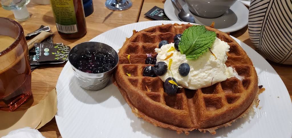 Parakeet Cafe | cafe | 1680 India St, San Diego, CA 92101, USA | 6192551442 OR +1 619-255-1442