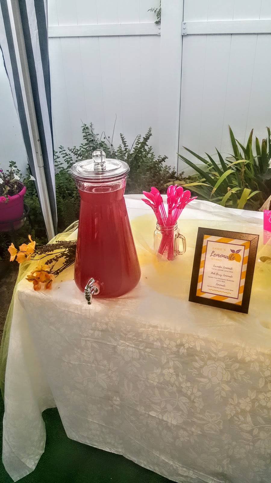 JJs Fritaille | restaurant | 4021 Glenwood Rd, Brooklyn, NY 11210, USA | 3476362850 OR +1 347-636-2850