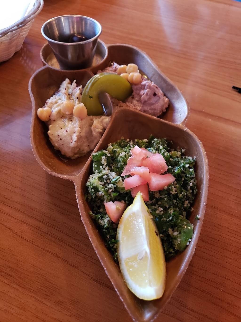 Middle Eastern Cuisine | restaurant | 7006 Carroll Ave, Takoma Park, MD 20912, USA | 3012705154 OR +1 301-270-5154