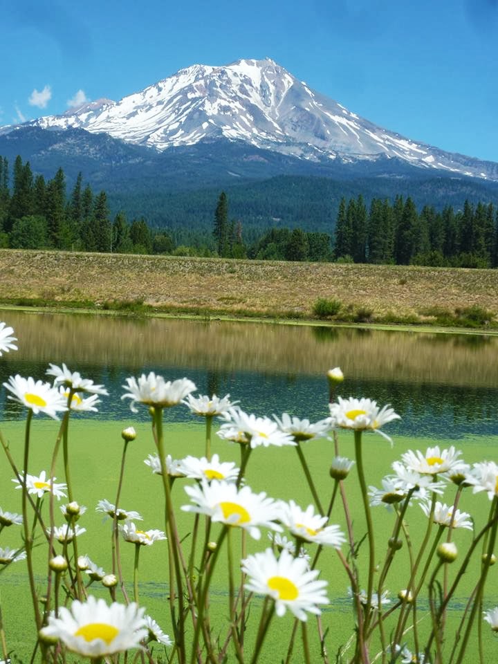 McCloud Hotel | restaurant | 408 Main St, McCloud, CA 96057, USA | 5309642822 OR +1 530-964-2822