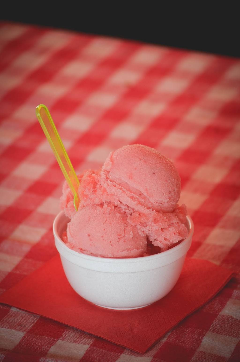 Stunods Pizza & Buddys Italian Ice | restaurant | 6535 W 63rd St, Chicago, IL 60638, USA | 7735867373 OR +1 773-586-7373