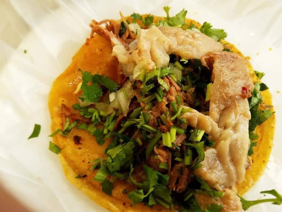 Los Tuetanicos BIRRIERIA 2 | restaurant | Mar Mediterráneo, Centro Carretera, 22710 Rosarito, B.C., Mexico | 526648108933 OR +52 664 810 8933