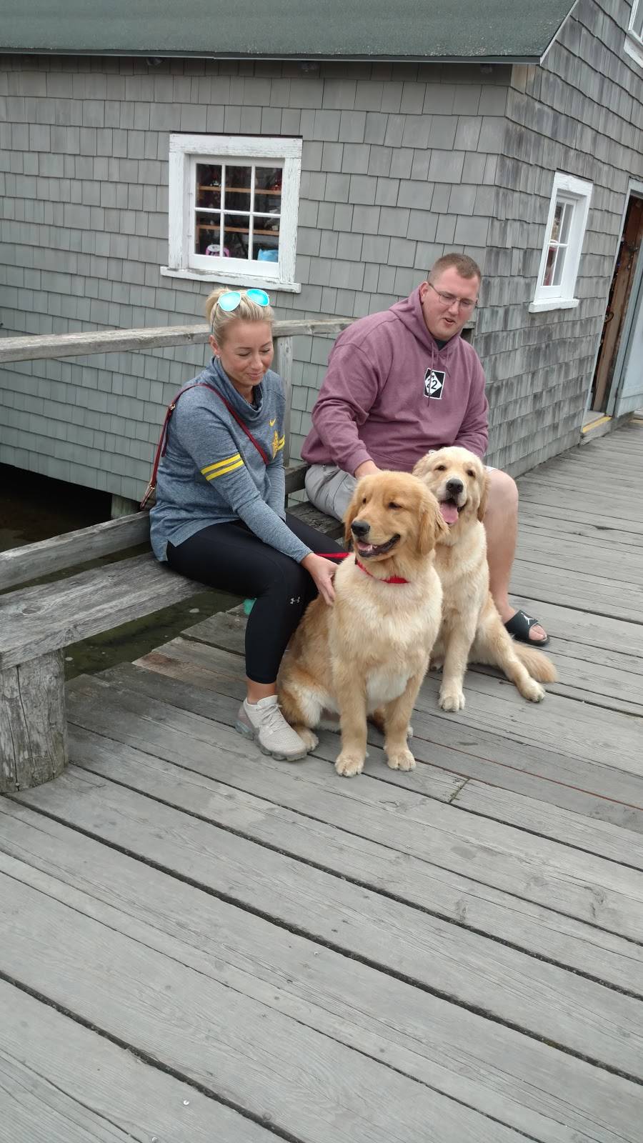 Early Bird Restaurant | restaurant | 101 S Main St, Leland, MI 49654, USA | 2312569656 OR +1 231-256-9656