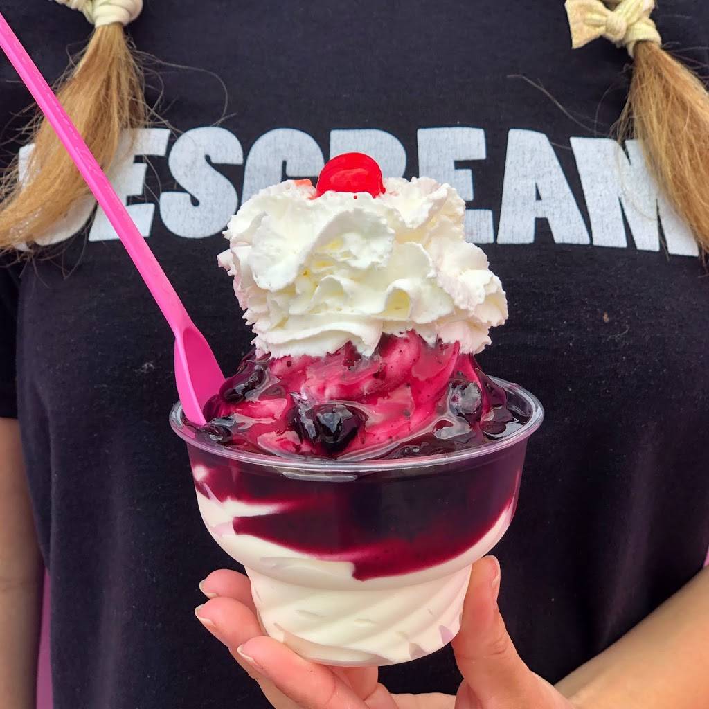 ICESCREAMS | restaurant | 669 County Rte 2, Elizaville, NY 12523, USA | 5187218865 OR +1 518-721-8865