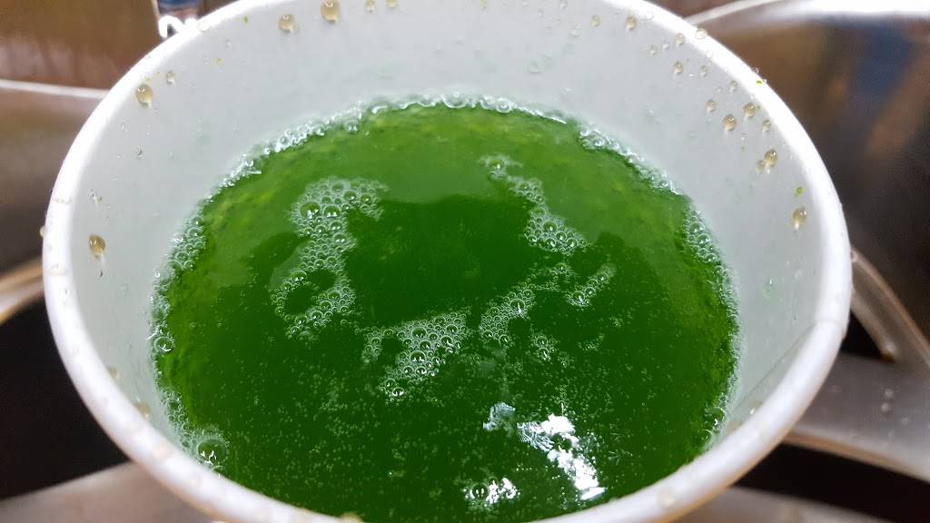 Wendys | restaurant | 1151 S Oxford Valley Rd, Levittown, PA 19057, USA | 2152690821 OR +1 215-269-0821