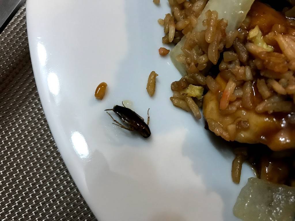 New Sue-Hai | restaurant | 2038 Saw Mill River Rd, Yorktown Heights, NY 10598, USA | 9149627996 OR +1 914-962-7996