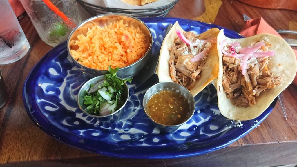 Tacologist Tacos-Tequila-Margaritas | restaurant | 11409 Euclid Ave, Cleveland, OH 44106, USA | 2164007242 OR +1 216-400-7242