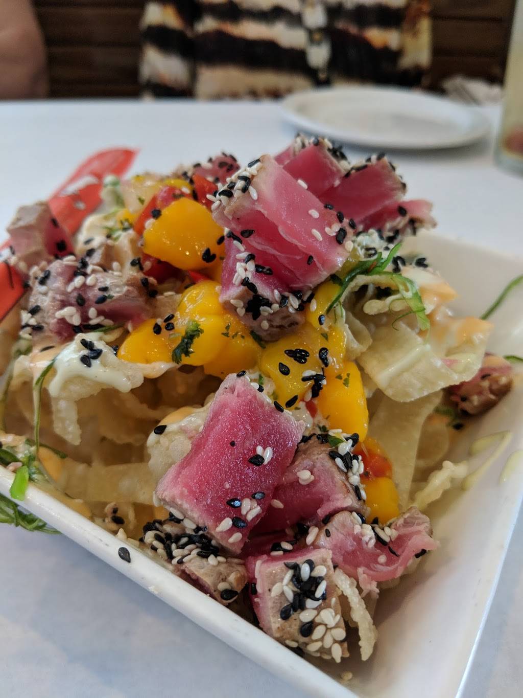 Blue Dog Bar & Grill | restaurant | 4597 Pine Island Rd, Matlacha, FL 33993, USA | 2395584970 OR +1 239-558-4970