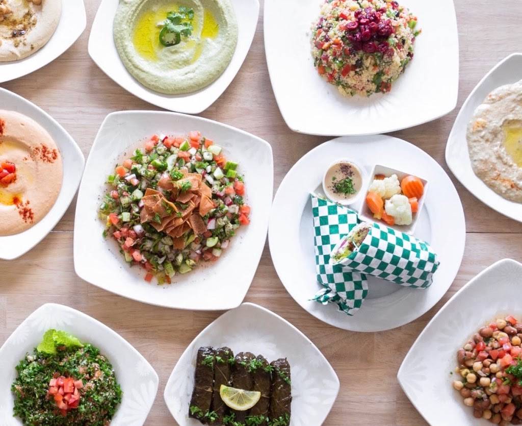 The Mediterranean Chickpea | restaurant | 3217 S MacDill Ave SUITE C, Tampa, FL 33629, USA | 8135157981 OR +1 813-515-7981