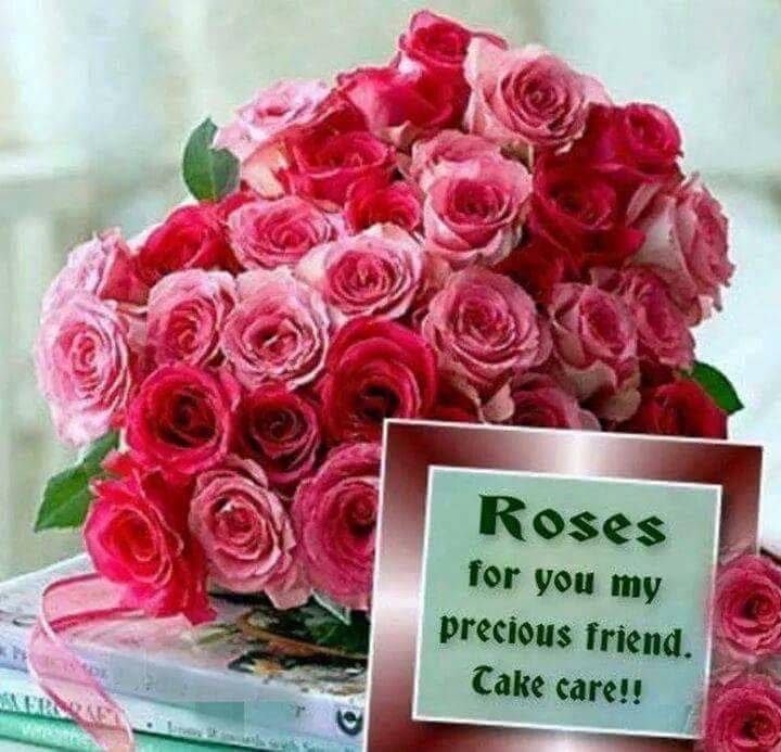 El Nopal | restaurant | 480 Taylorsville Rd, Shelbyville, KY 40065, USA | 5024372131 OR +1 502-437-2131