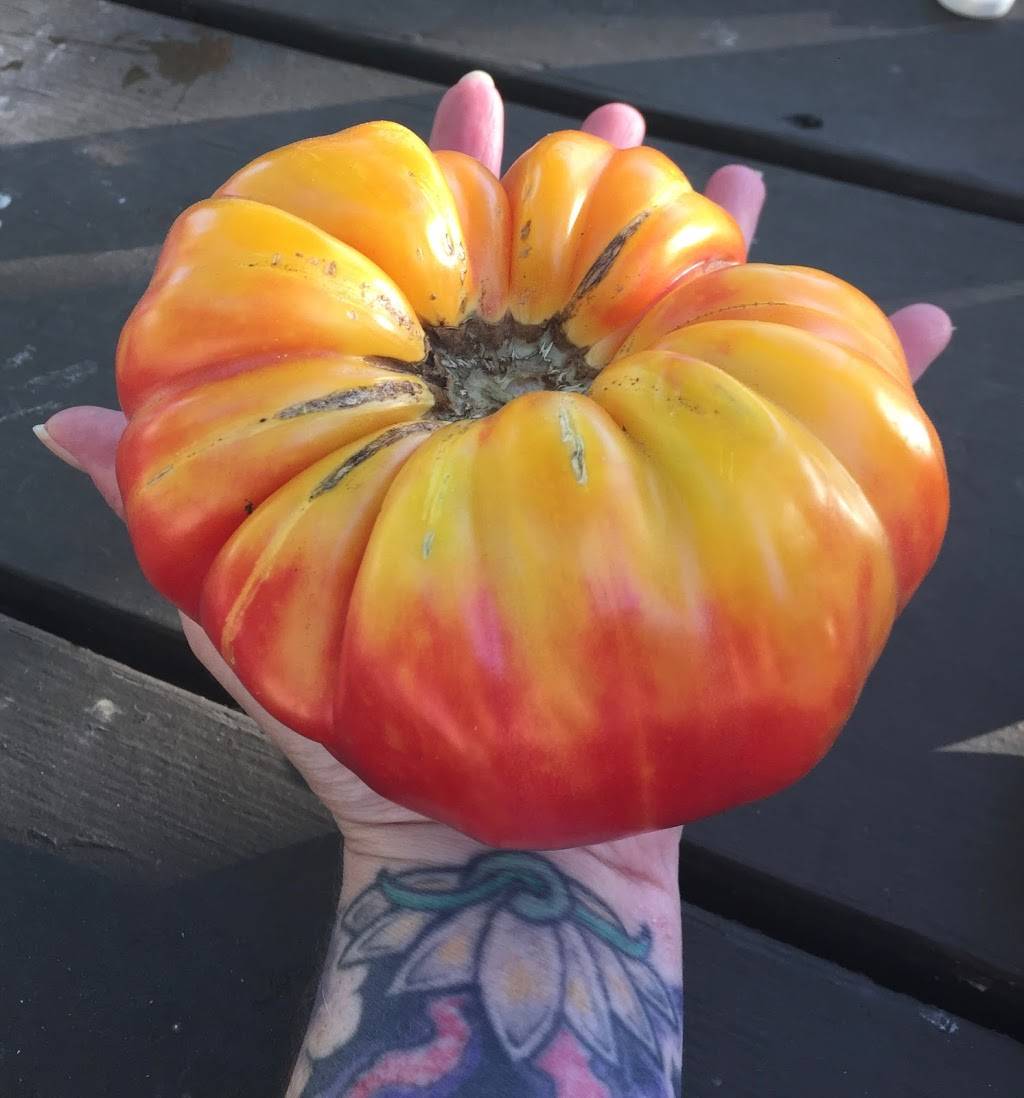 Underground Public House | restaurant | 717 S University Ave, Carbondale, IL 62901, USA | 6184901586 OR +1 618-490-1586