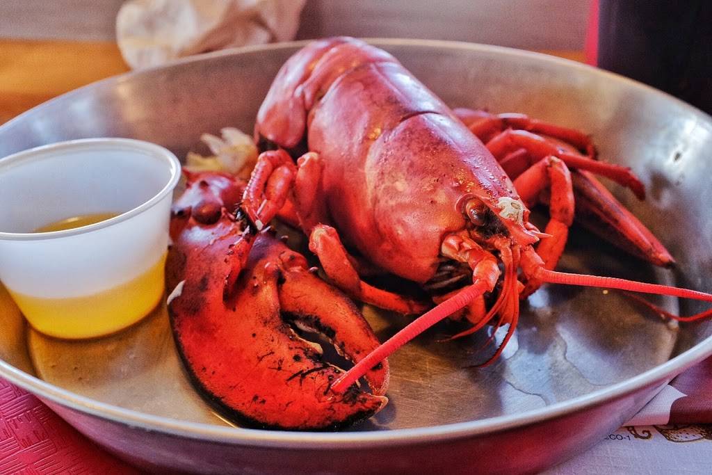 Fishermans Galley Restaurant | restaurant | 7 Newman St, Winter Harbor, ME 04693, USA | 2079635585 OR +1 207-963-5585