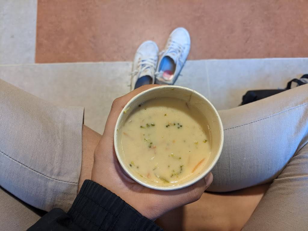 North Quad Dining Hall | restaurant | 105 S State St, Ann Arbor, MI 48109, USA | 7347640170 OR +1 734-764-0170