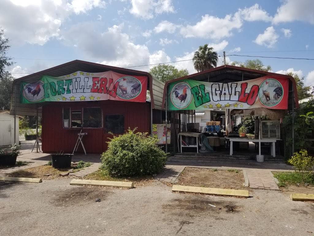 Tortilleria El Gayo | restaurant | 13616 E US-92, Dover, FL 33527, USA | 8137591917 OR +1 813-759-1917