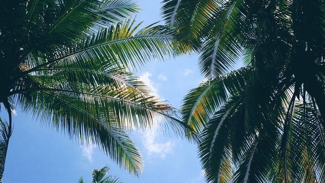 El Mariachi Seafood, Bar & Grill | restaurant | 4623 W Gate City Blvd, Greensboro, NC 27407, USA | 3368342200 OR +1 336-834-2200