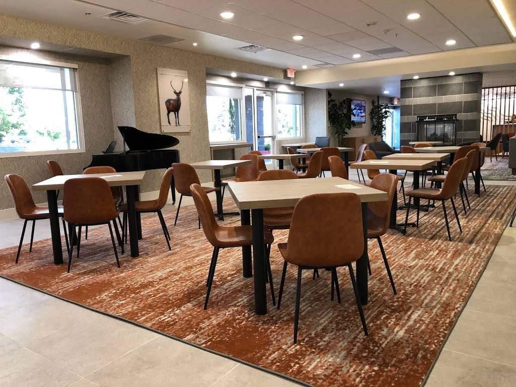 Sycamore Tap & Table | restaurant | 685 Manzanita Ct, Chico, CA 95926, USA | 5303452491 OR +1 530-345-2491