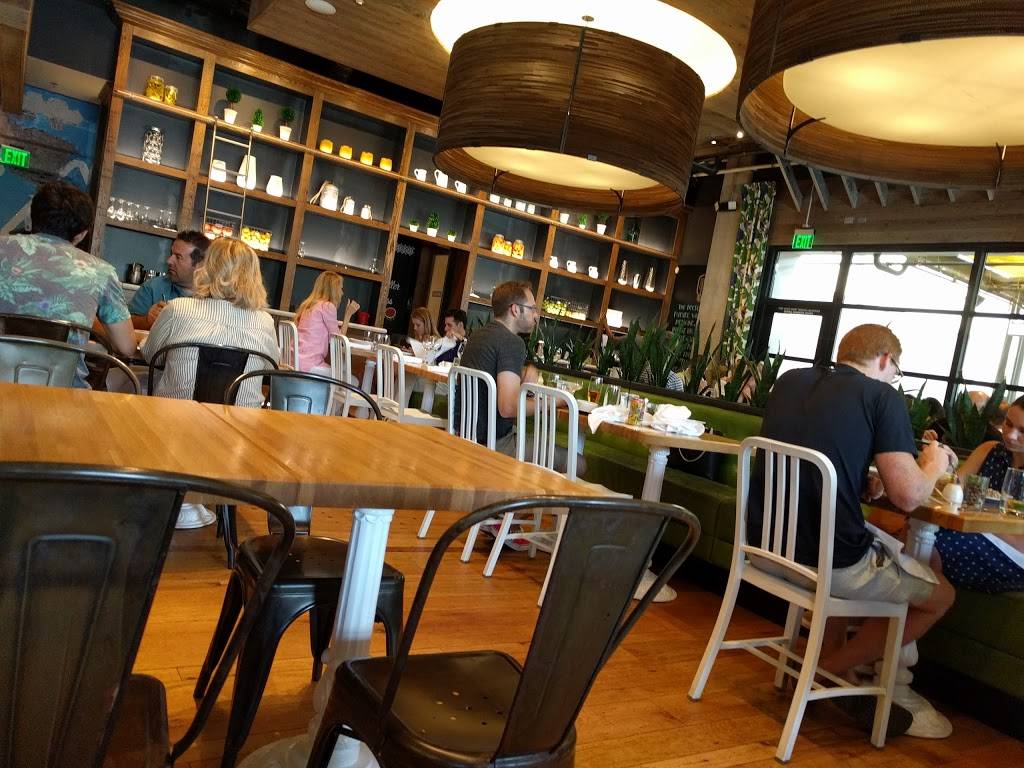 True Food Kitchen | restaurant | The Plaza at Preston Center |, 8383 Preston Center Plaza Suite 100, Dallas, TX 75225, USA | 2143773333 OR +1 214-377-3333