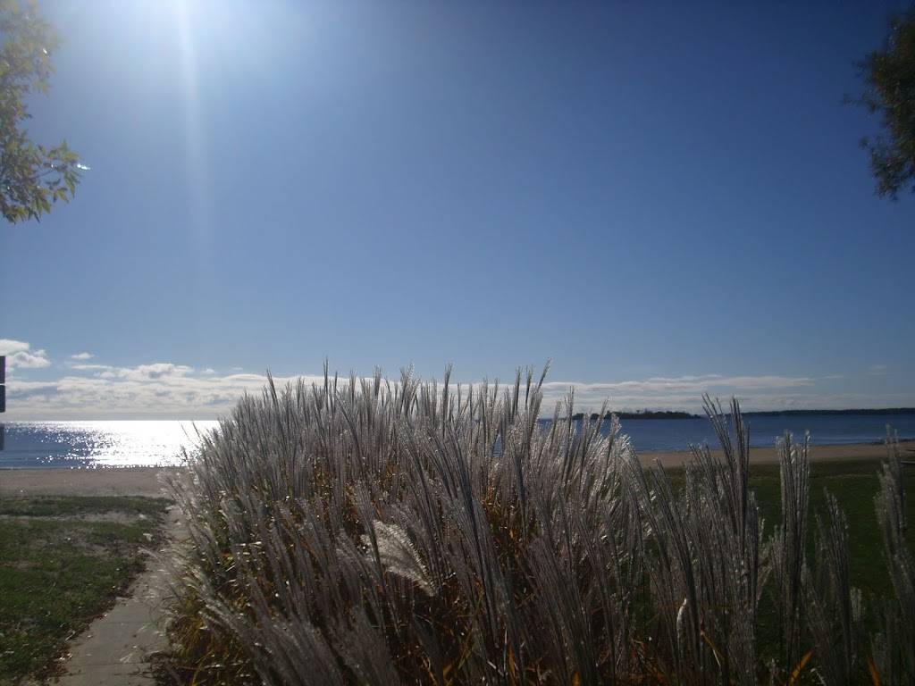 Owls Nest | restaurant | 628 W Chisholm St, Alpena, MI 49707, USA | 9893401082 OR +1 989-340-1082