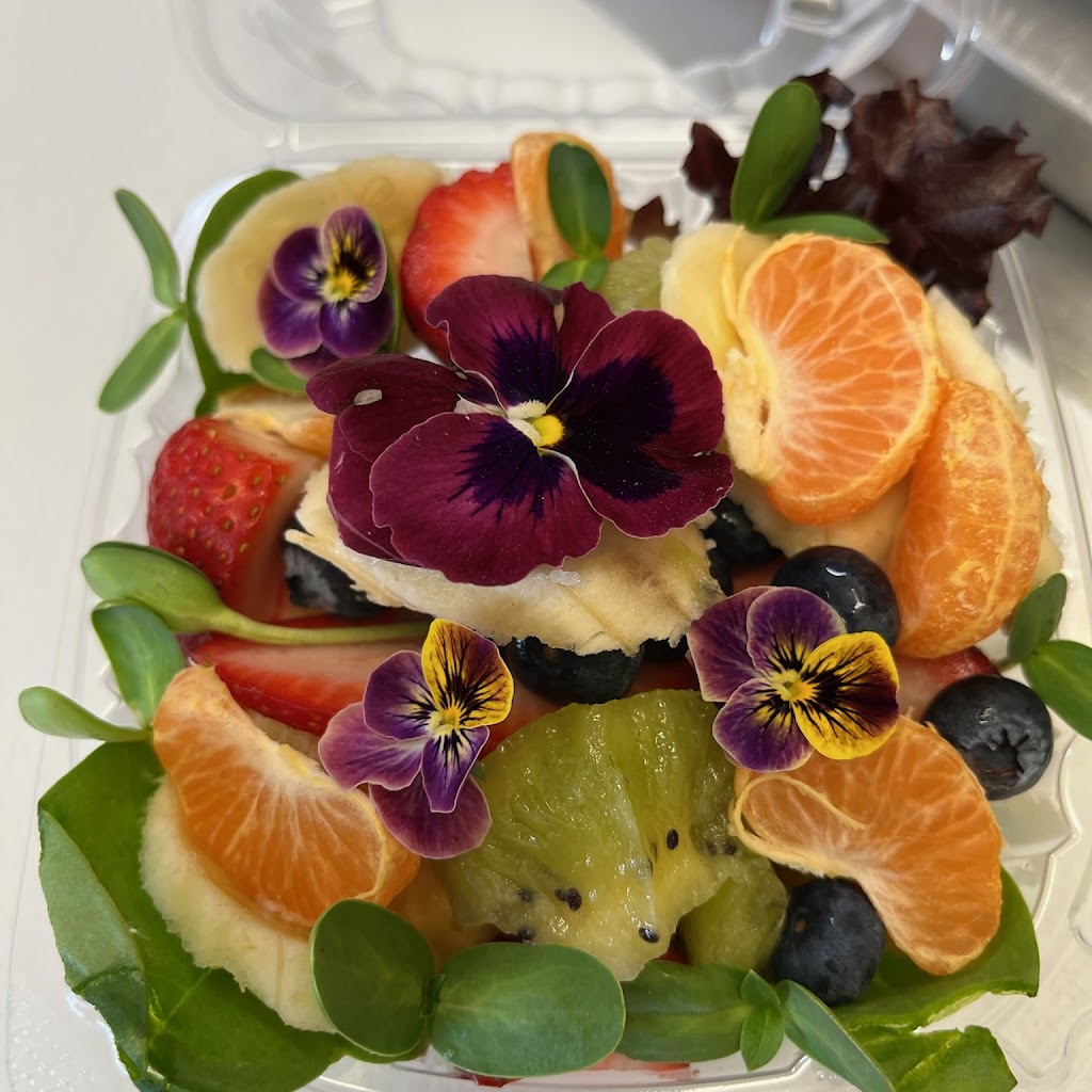 Fountain of Youth Juice Bar | restaurant | 1119 Princess St, Wilmington, NC 28401, USA | 9108598013 OR +1 910-859-8013