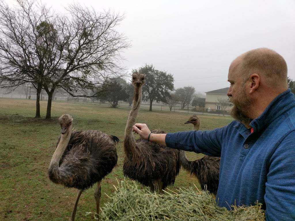 Campioni Restaurant | restaurant | 13850 Cutten Rd, Houston, TX 77069, USA | 2818932267 OR +1 281-893-2267