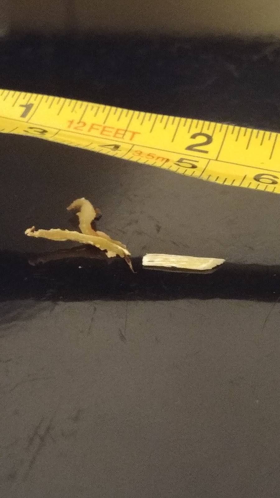 Dominos Pizza | meal delivery | 1717 Christy Dr, Jefferson City, MO 65101, USA | 5736348444 OR +1 573-634-8444