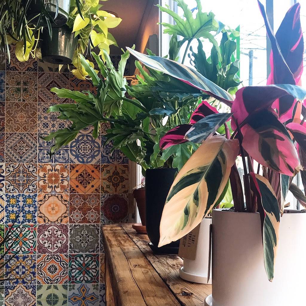 Planted Cafe | cafe | 333 Smith St, Brooklyn, NY 11231, USA | 9179091986 OR +1 917-909-1986