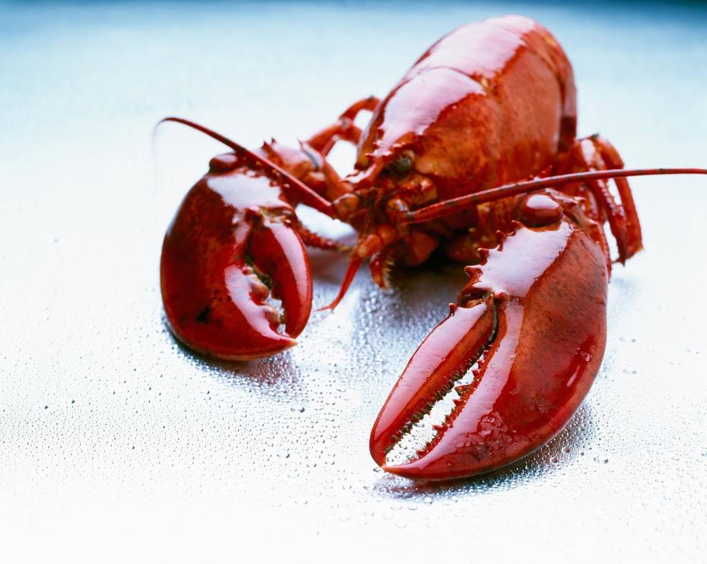 Chesapeake Crab Connection Co | restaurant | 300 S 3rd St, Oxford, PA 19363, USA | 6109327499 OR +1 610-932-7499