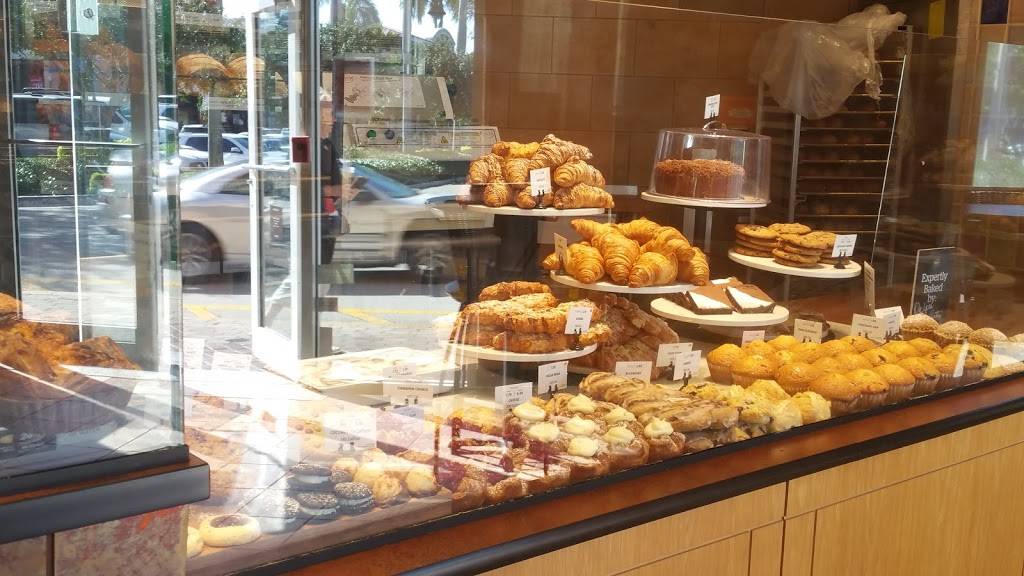 Panera Bread | bakery | 2101 N Federal Hwy, Pompano Beach, FL 33062, USA | 9547835490 OR +1 954-783-5490