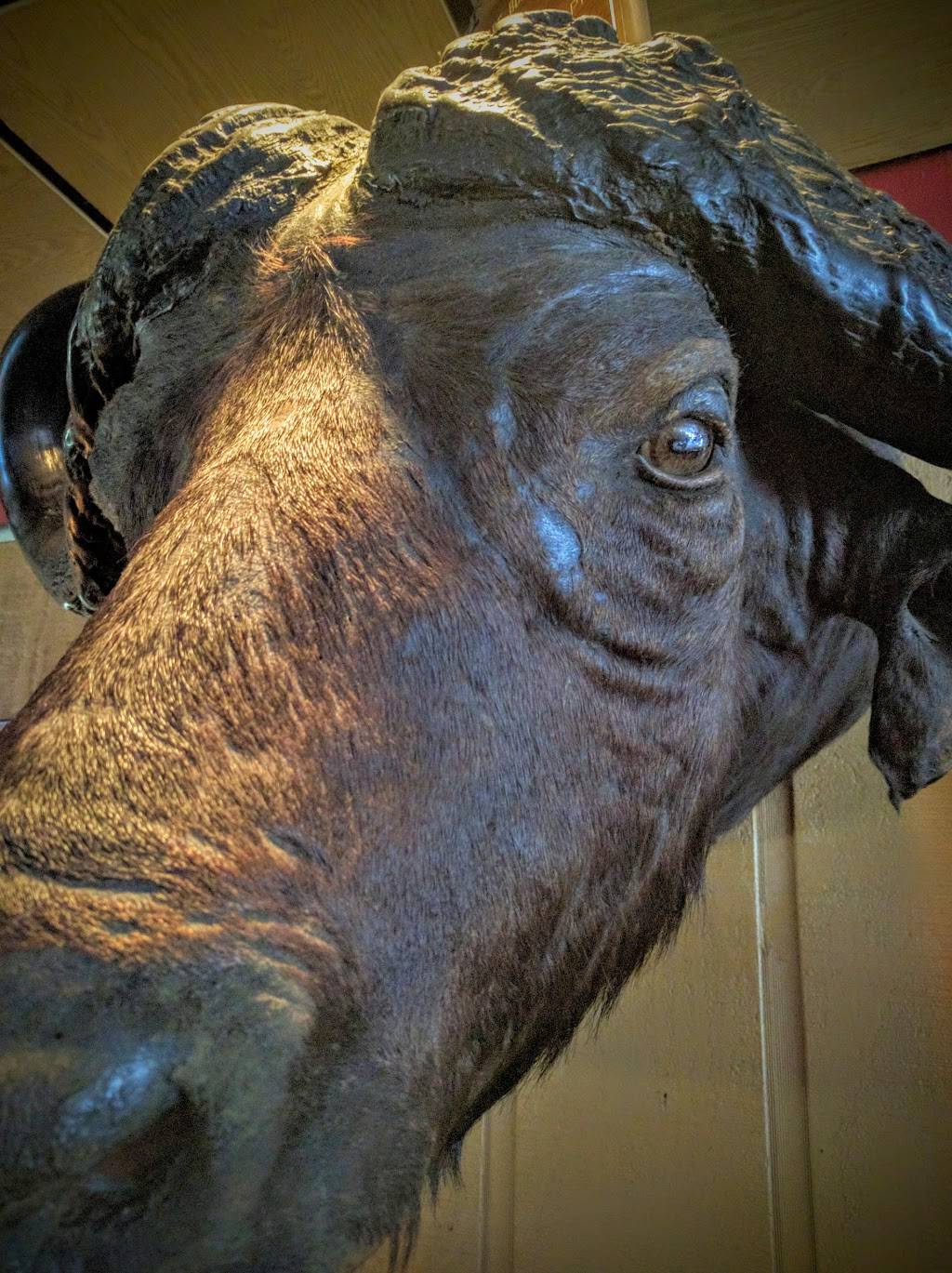 Rush Inn | restaurant | 17800 Detroit Ave, Cleveland, OH 44107, USA | 2162213224 OR +1 216-221-3224