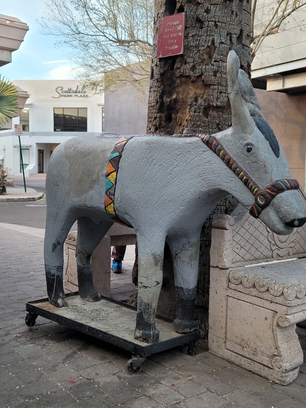 Los Olivos Mexican Patio | restaurant | 7328 E 2nd St, Scottsdale, AZ 85251, USA | 4809462256 OR +1 480-946-2256