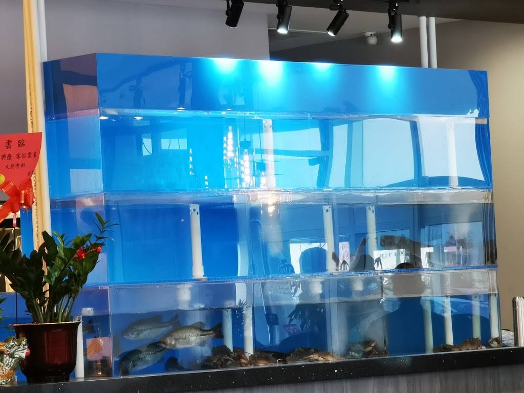 Yunlin Sea food Restaurant 雲臨粵菜海鮮館 | restaurant | 3250 Midland Ave Unit G101, Scarborough, ON M1V 0C7, Canada | 4162918889 OR +1 416-291-8889