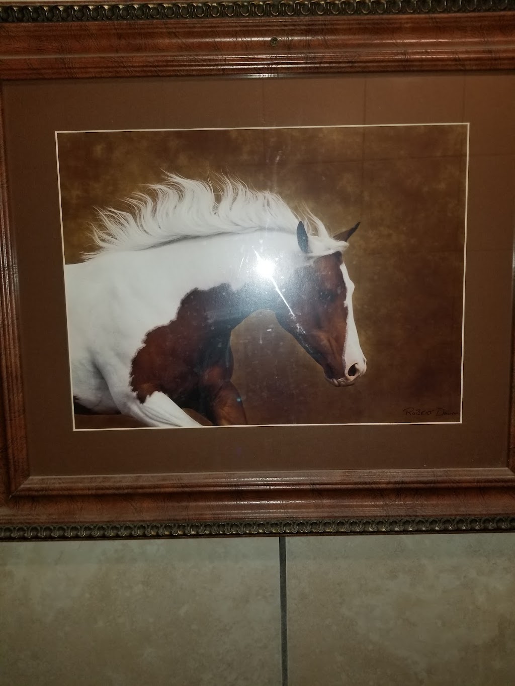 COUNTRY CAFE | restaurant | 10161 W University Blvd, Odessa, TX 79764, USA | 4323810075 OR +1 432-381-0075