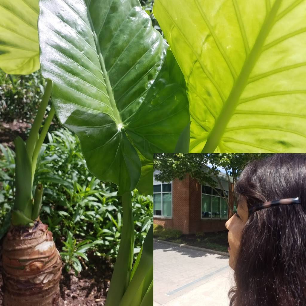 Hilltop Restaurant | restaurant | 3132 Shenandoah Ave NW, Roanoke, VA 24017, USA | 5403444404 OR +1 540-344-4404