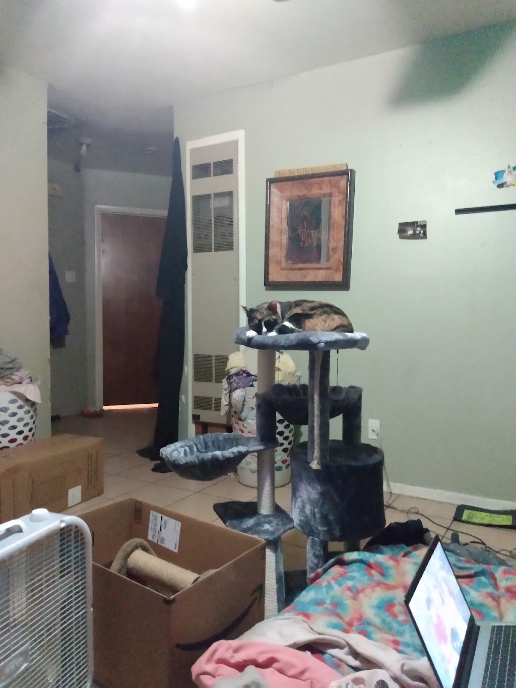 Tacos Marquez Taco Truck | restaurant | 165 Utah St SE, Albuquerque, NM 87108, USA | 5753179284 OR +1 575-317-9284