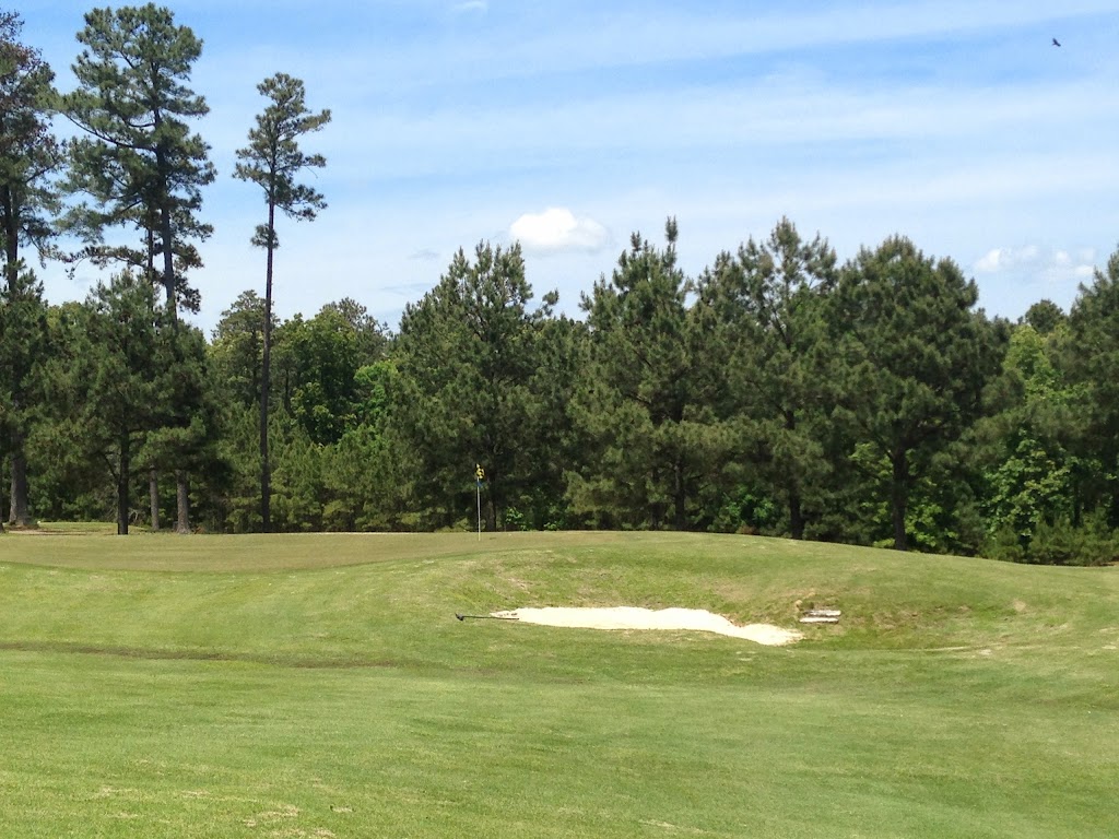 Mallard Pointe Golf Course | meal takeaway | 3037 State Park Rd, Sardis, MS 38666, USA | 6625464172 OR +1 662-546-4172