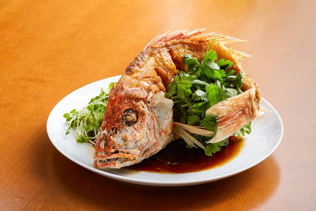 Steenbocks On Orchard | restaurant | 330 N Orchard St, Madison, WI 53705, USA | 6082042733 OR +1 608-204-2733