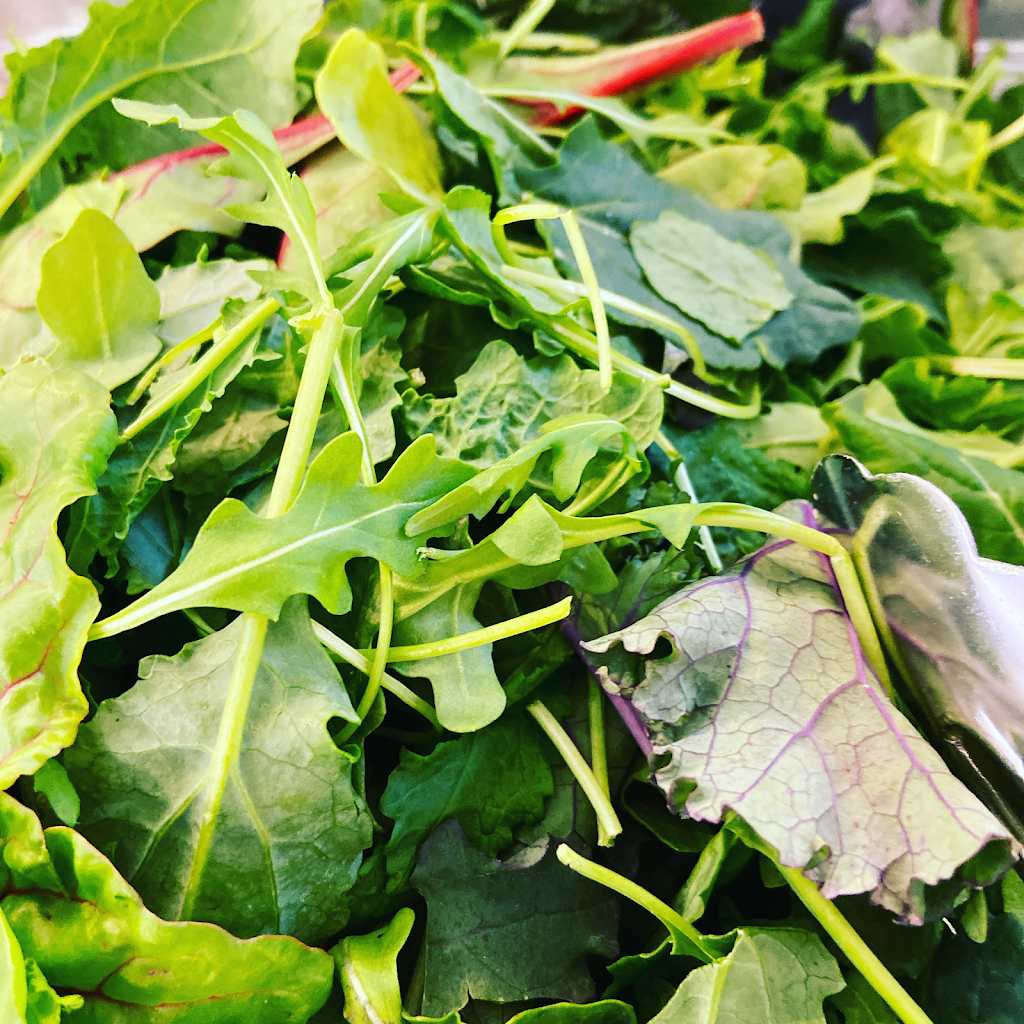 Tua Pasta Milwaukee | restaurant | 100 E Wisconsin Ave LL101, Milwaukee, WI 53202, USA | 4149884016 OR +1 414-988-4016