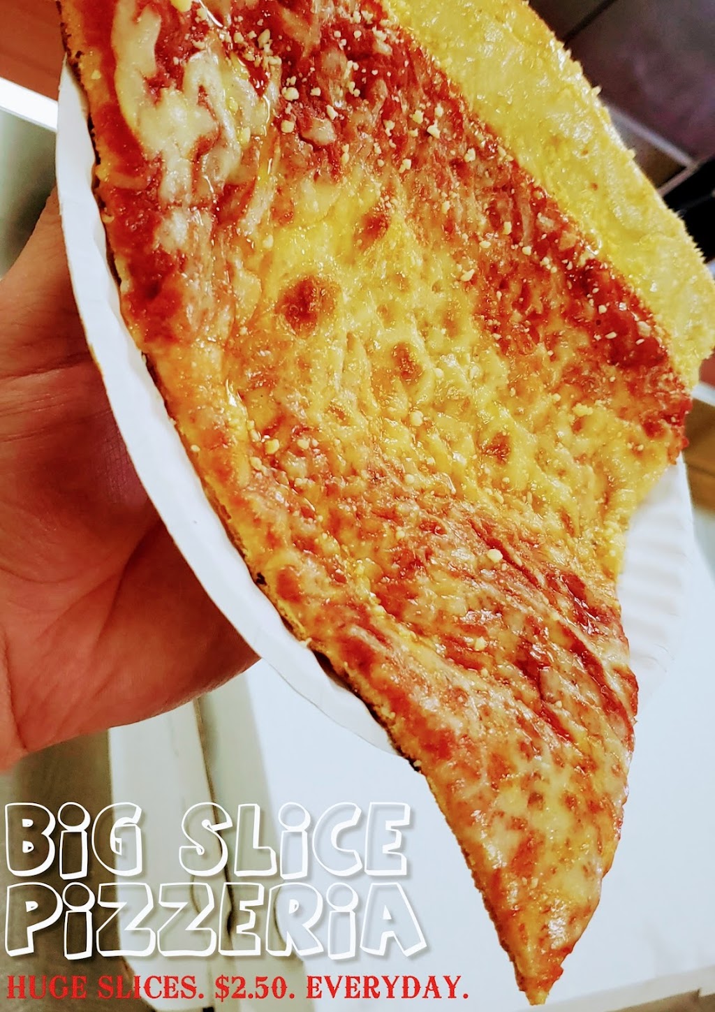 Big Slice Pizzeria Sylvania | restaurant | 6636 W Bancroft St #2, Toledo, OH 43615, USA | 4192141104 OR +1 419-214-1104