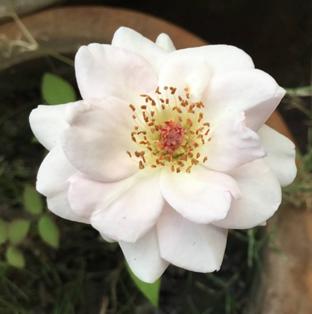 Bird in the Hand | restaurant | 1845 Palm Beach Lakes Blvd, West Palm Beach, FL 33401, USA | 5614713831 OR +1 561-471-3831