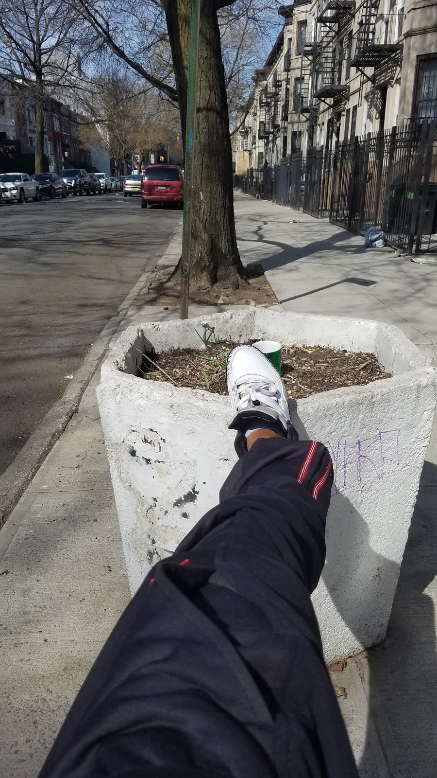 Sterling Crust | restaurant | 747 Nostrand Ave., Brooklyn, NY 11216, USA | 7184849659 OR +1 718-484-9659